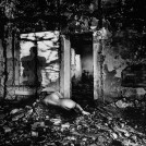 "T&uacute;, mi sombra" de FERNANDO MART&Iacute;NEZ MILL&Aacute;N