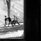 "Libres e iguales" de JUAN MANUEL MAROTO ROMO