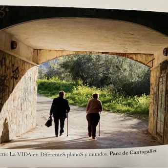 Club d'amigues i amics de la Unesco d'Alcoi