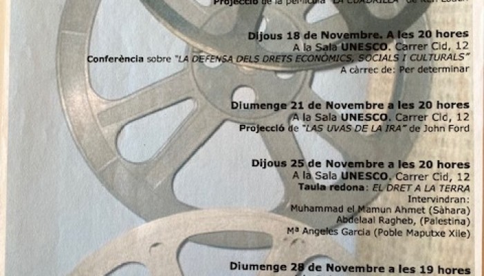 CINEMA I DRETS HUMANS, 2010