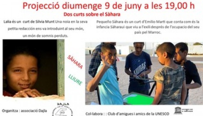 Projecci&oacute; dels curts sobre el S&agrave;hara